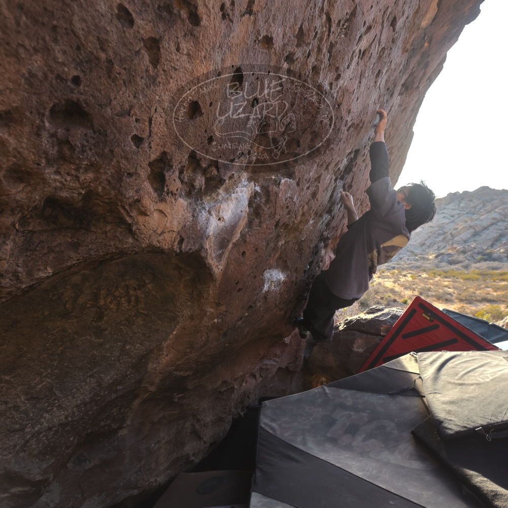 

Filename: SRM_20260118_1609280.jpg
Aperture: f/5.6
Shutter Speed: 1/400
Body: Canon EOS R6
Lens: Canon EF 16-35mm f/2.8 L