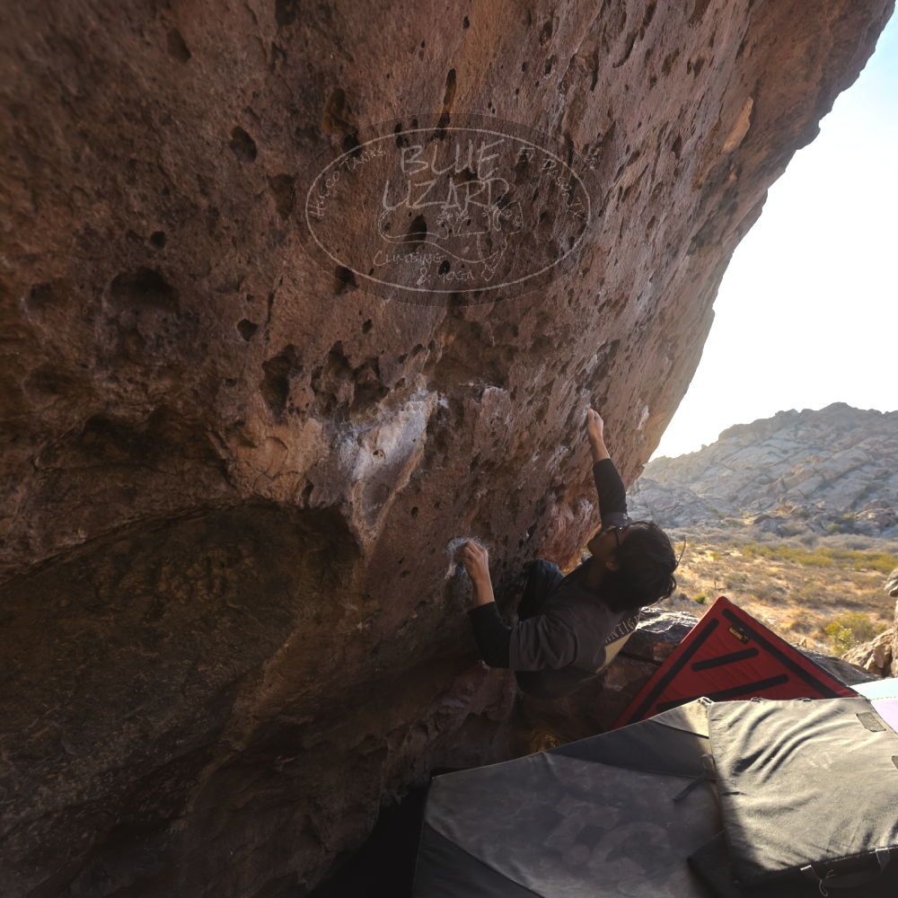 Filename: SRM_20260118_1610360.jpg
Aperture: f/5.6
Shutter Speed: 1/400
Body: Canon EOS R6
Lens: Canon EF 16-35mm f/2.8 L