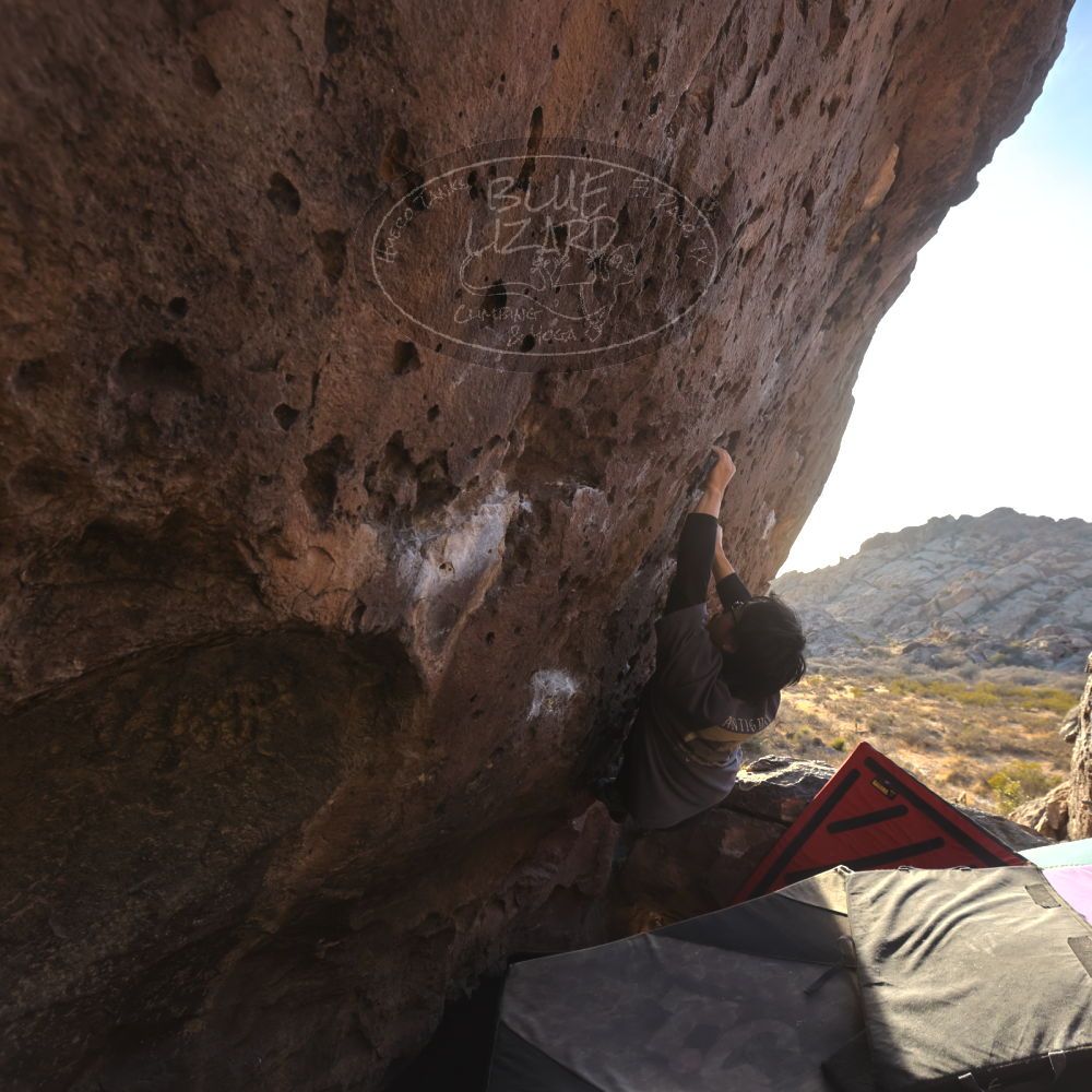 

Filename: SRM_20260118_1610370.jpg
Aperture: f/5.6
Shutter Speed: 1/400
Body: Canon EOS R6
Lens: Canon EF 16-35mm f/2.8 L