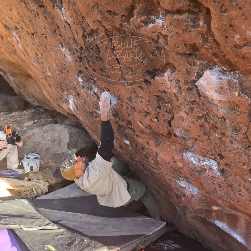 Filename: SRM_20260118_1616200.jpg
Aperture: f/6.3
Shutter Speed: 1/400
Body: Canon EOS R6
Lens: Canon EF 16-35mm f/2.8 L