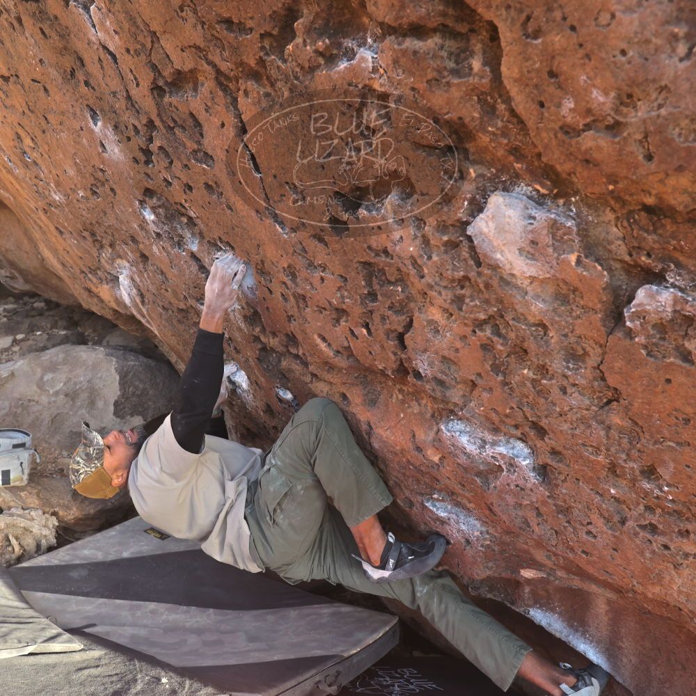 Filename: SRM_20260118_1616260.jpg
Aperture: f/5.6
Shutter Speed: 1/400
Body: Canon EOS R6
Lens: Canon EF 16-35mm f/2.8 L