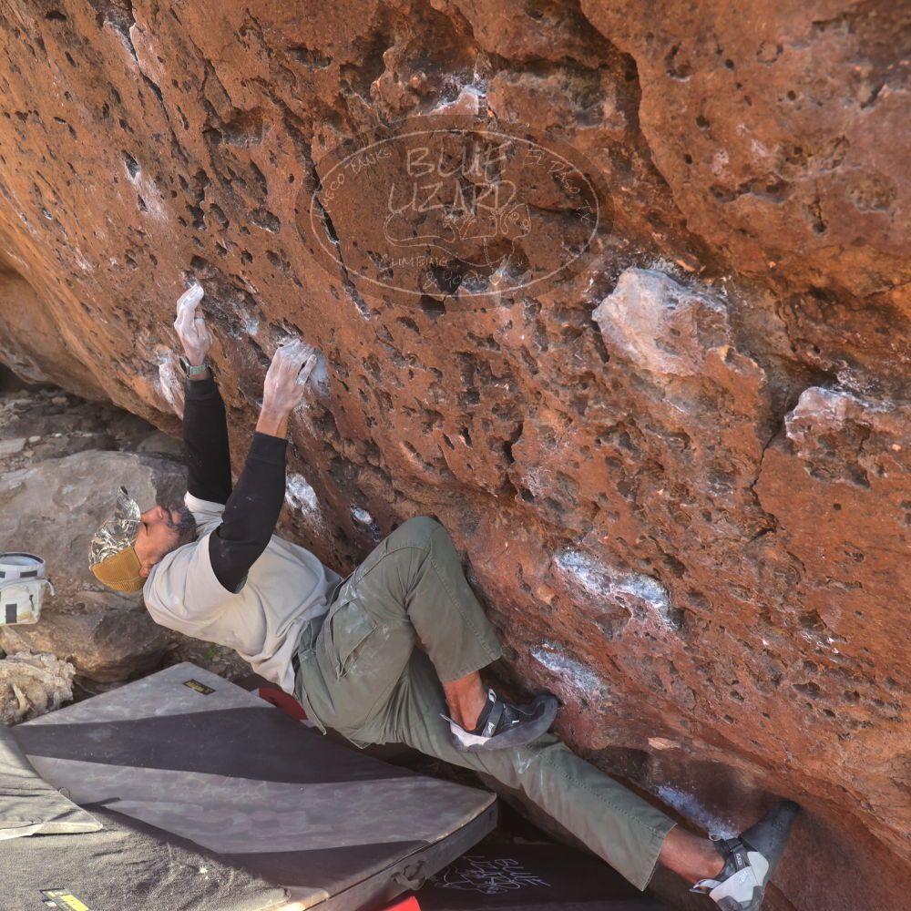 Filename: SRM_20260118_1616280.jpg
Aperture: f/5.6
Shutter Speed: 1/400
Body: Canon EOS R6
Lens: Canon EF 16-35mm f/2.8 L