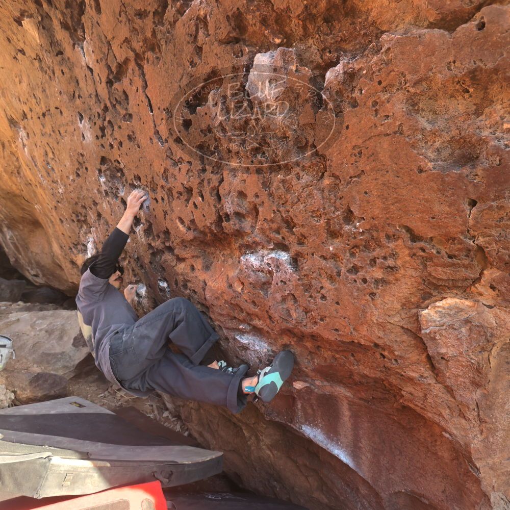 Filename: SRM_20260118_1618140.jpg
Aperture: f/5.6
Shutter Speed: 1/400
Body: Canon EOS R6
Lens: Canon EF 16-35mm f/2.8 L