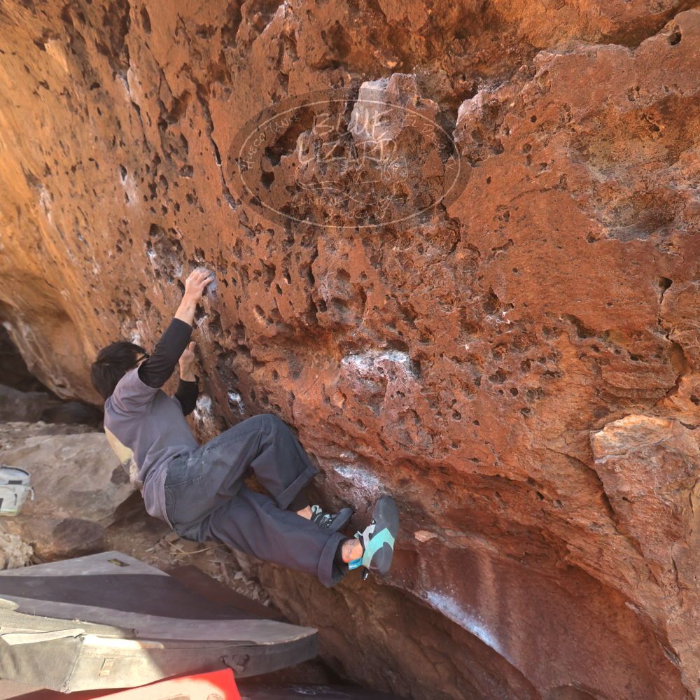 

Filename: SRM_20260118_1618150.jpg
Aperture: f/5.6
Shutter Speed: 1/400
Body: Canon EOS R6
Lens: Canon EF 16-35mm f/2.8 L