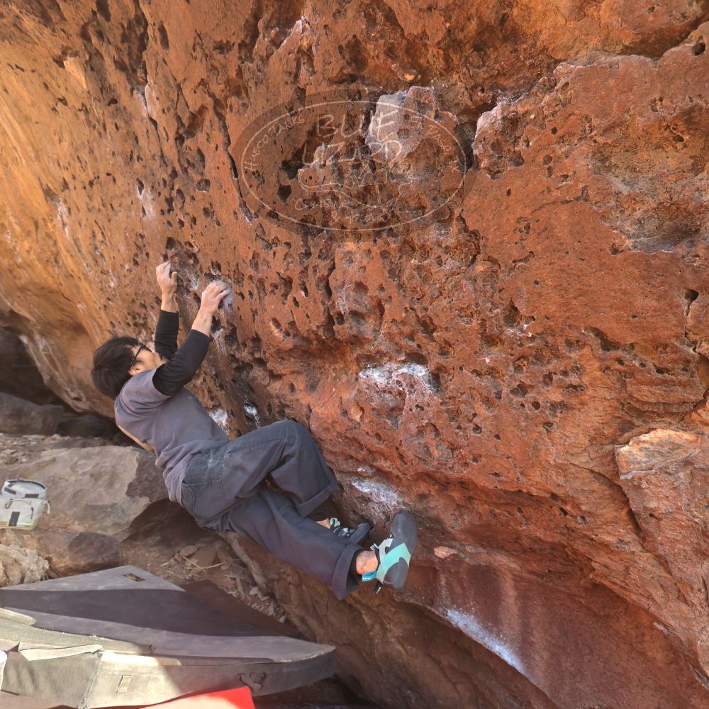 Filename: SRM_20260118_1618170.jpg
Aperture: f/5.6
Shutter Speed: 1/400
Body: Canon EOS R6
Lens: Canon EF 16-35mm f/2.8 L