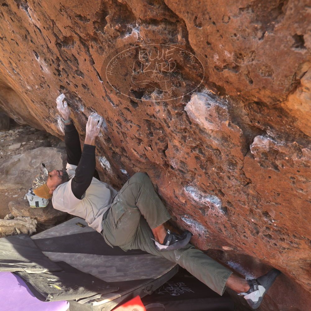 

Filename: SRM_20260118_1619490.jpg
Aperture: f/5.6
Shutter Speed: 1/400
Body: Canon EOS R6
Lens: Canon EF 16-35mm f/2.8 L