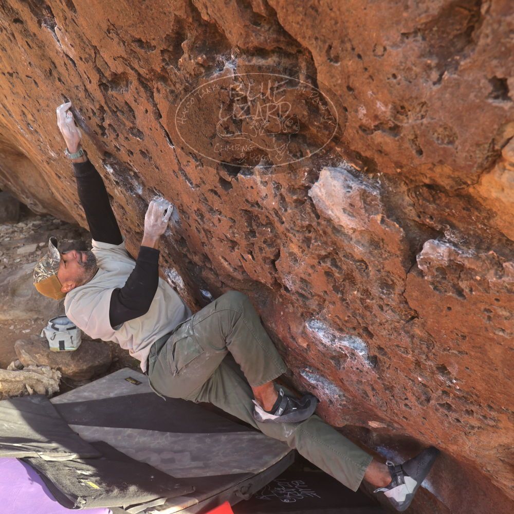 

Filename: SRM_20260118_1619510.jpg
Aperture: f/5.6
Shutter Speed: 1/400
Body: Canon EOS R6
Lens: Canon EF 16-35mm f/2.8 L