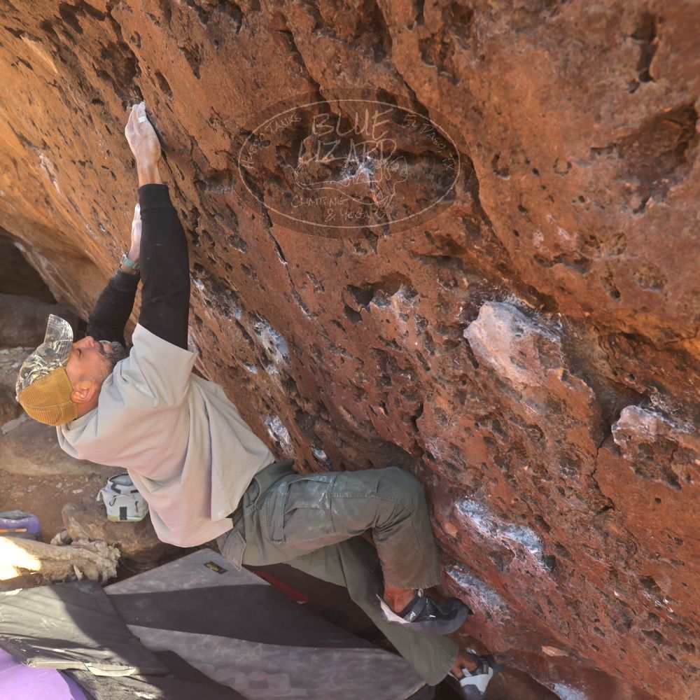 Filename: SRM_20260118_1619550.jpg
Aperture: f/5.6
Shutter Speed: 1/400
Body: Canon EOS R6
Lens: Canon EF 16-35mm f/2.8 L