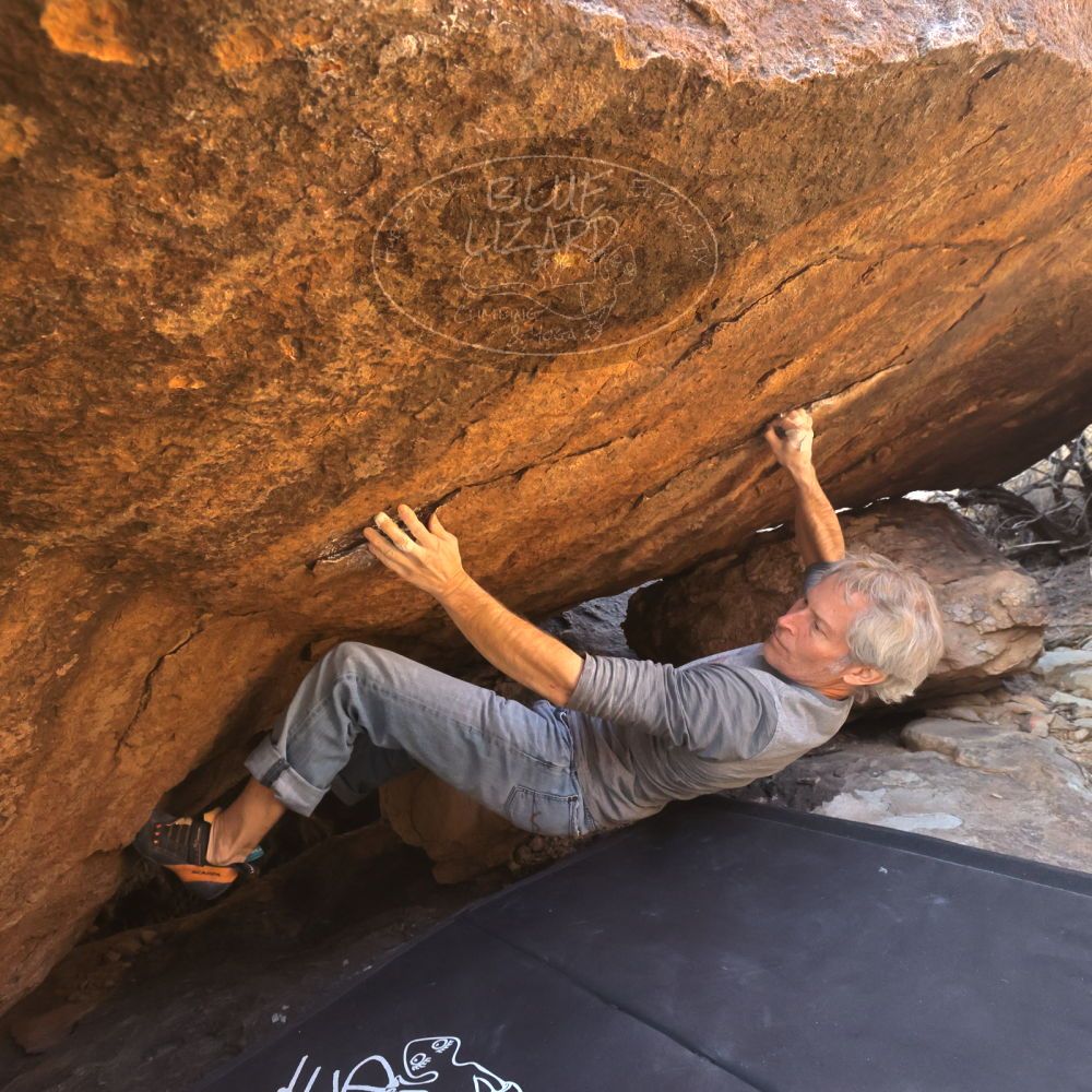 Filename: SRM_20260118_1624160.jpg
Aperture: f/7.1
Shutter Speed: 1/400
Body: Canon EOS R6
Lens: Canon EF 16-35mm f/2.8 L