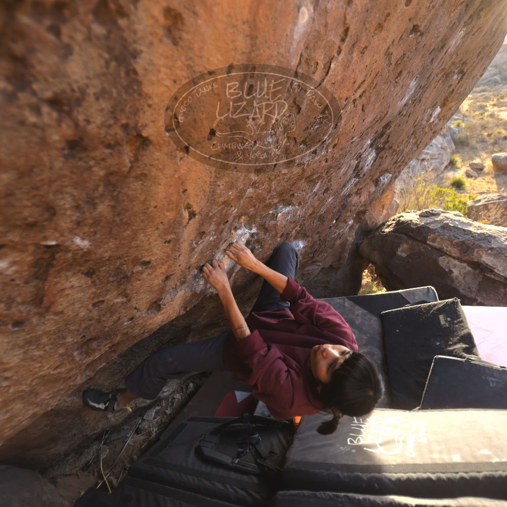 

Filename: SRM_20260118_1633000.jpg
Aperture: f/2.8
Shutter Speed: 1/400
Body: Canon EOS R6
Lens: Canon EF 16-35mm f/2.8 L