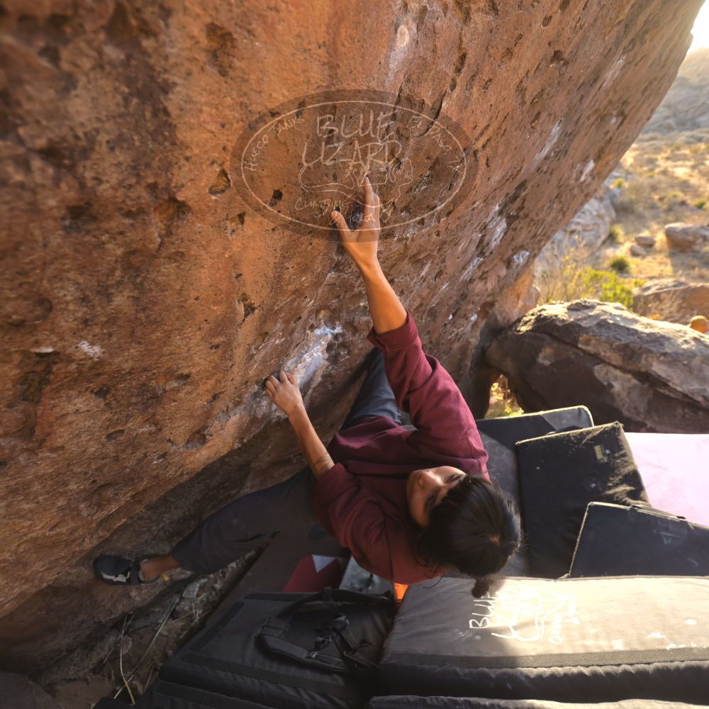 Filename: SRM_20260118_1633001.jpg
Aperture: f/3.2
Shutter Speed: 1/400
Body: Canon EOS R6
Lens: Canon EF 16-35mm f/2.8 L