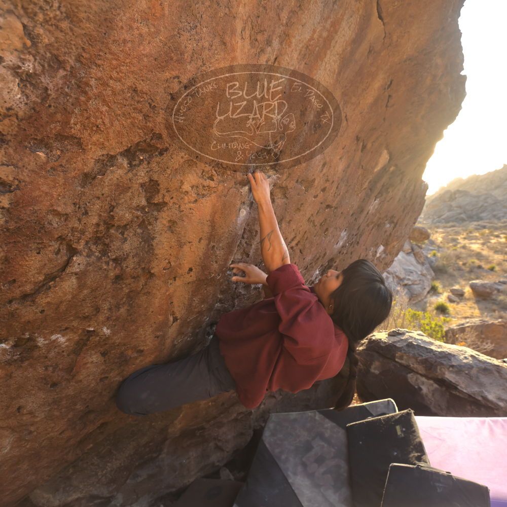 Filename: SRM_20260118_1635460.jpg
Aperture: f/5.6
Shutter Speed: 1/400
Body: Canon EOS R6
Lens: Canon EF 16-35mm f/2.8 L