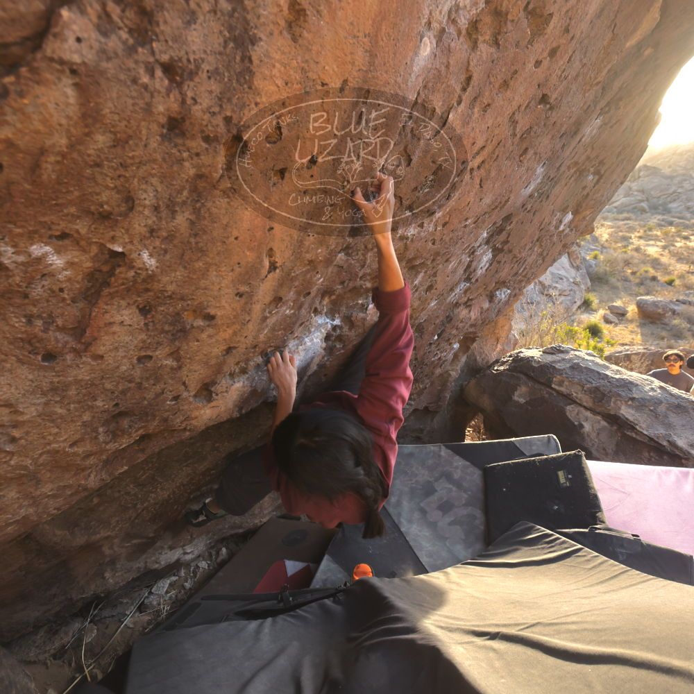 Filename: SRM_20260118_1641220.jpg
Aperture: f/5.6
Shutter Speed: 1/400
Body: Canon EOS R6
Lens: Canon EF 16-35mm f/2.8 L