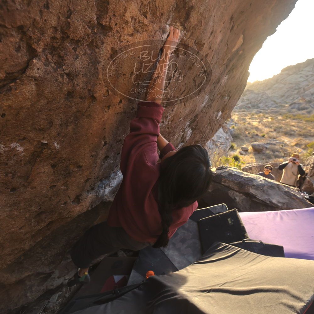 Filename: SRM_20260118_1641300.jpg
Aperture: f/5.6
Shutter Speed: 1/400
Body: Canon EOS R6
Lens: Canon EF 16-35mm f/2.8 L