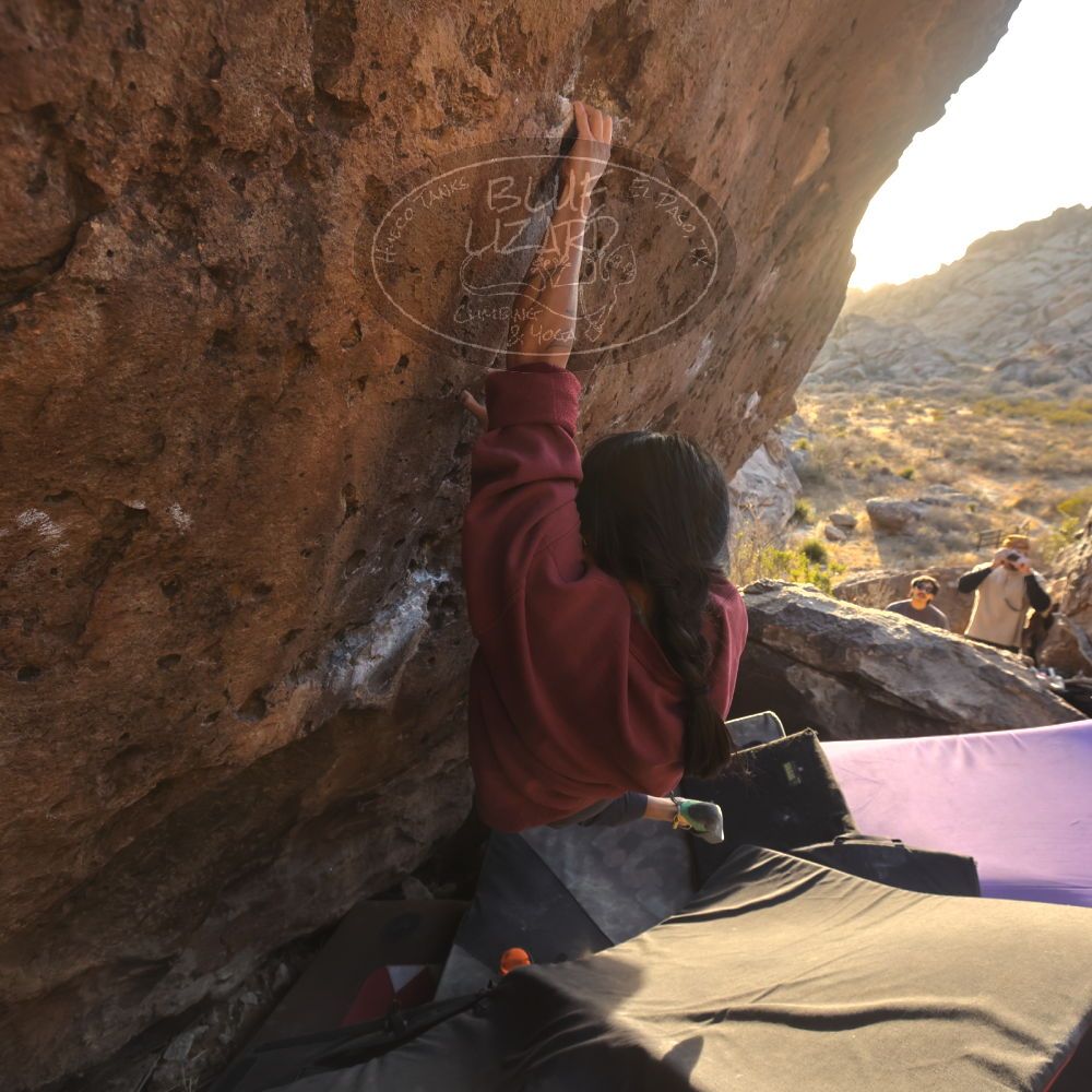 Filename: SRM_20260118_1641301.jpg
Aperture: f/5.6
Shutter Speed: 1/400
Body: Canon EOS R6
Lens: Canon EF 16-35mm f/2.8 L