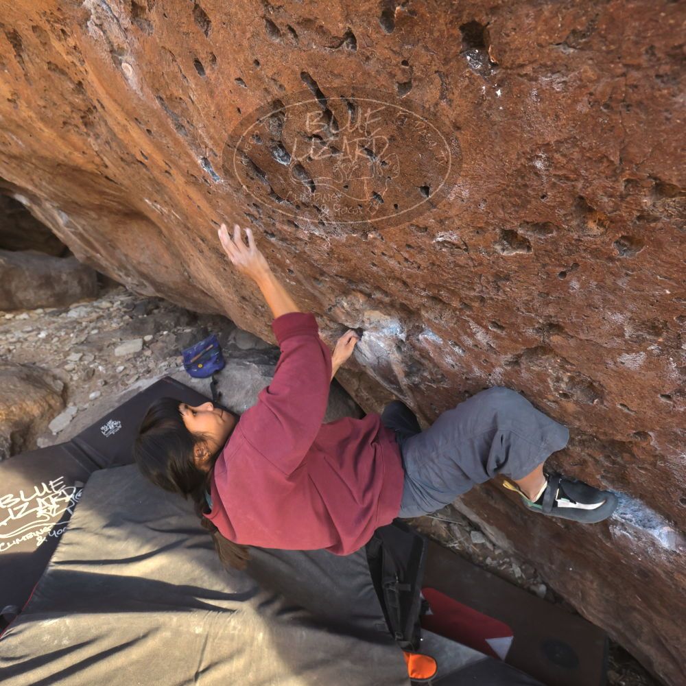 Filename: SRM_20260118_1644430.jpg
Aperture: f/5.6
Shutter Speed: 1/400
Body: Canon EOS R6
Lens: Canon EF 16-35mm f/2.8 L