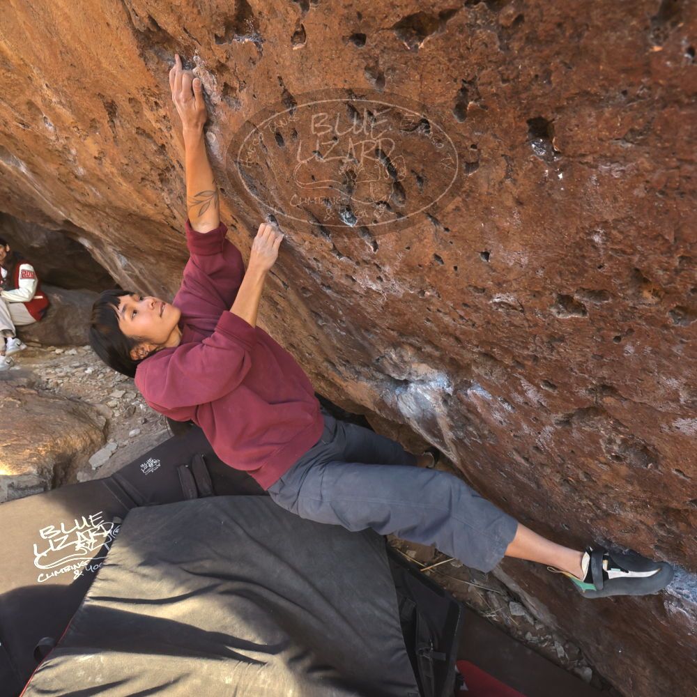 Filename: SRM_20260118_1644481.jpg
Aperture: f/5.6
Shutter Speed: 1/400
Body: Canon EOS R6
Lens: Canon EF 16-35mm f/2.8 L