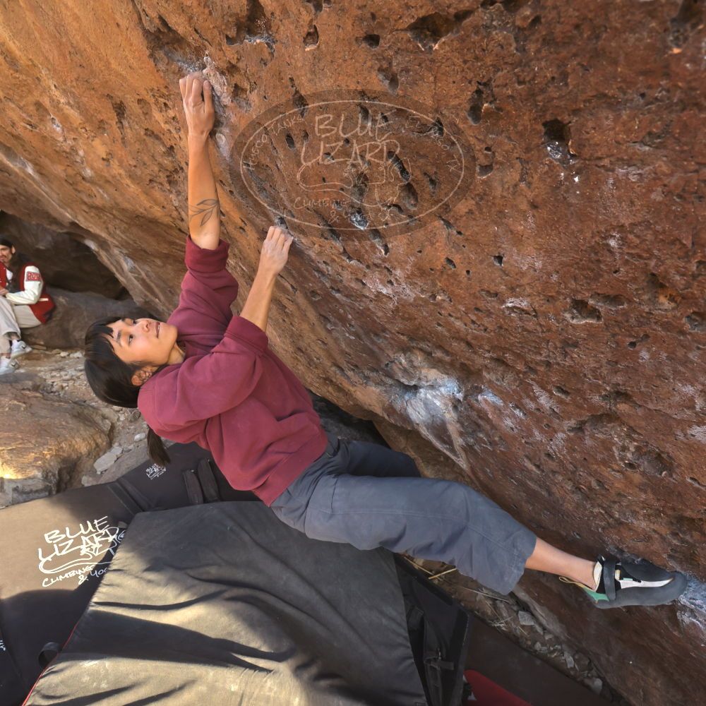 Filename: SRM_20260118_1644482.jpg
Aperture: f/5.6
Shutter Speed: 1/400
Body: Canon EOS R6
Lens: Canon EF 16-35mm f/2.8 L