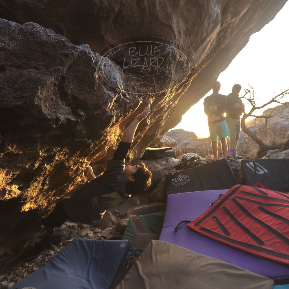 Filename: SRM_20260118_1709250.jpg
Aperture: f/5.6
Shutter Speed: 1/400
Body: Canon EOS R6
Lens: Canon EF 16-35mm f/2.8 L