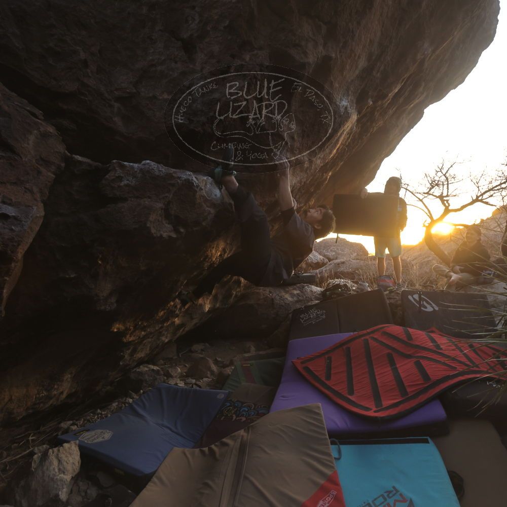 Filename: SRM_20260118_1719240.jpg
Aperture: f/5.6
Shutter Speed: 1/400
Body: Canon EOS R6
Lens: Canon EF 16-35mm f/2.8 L