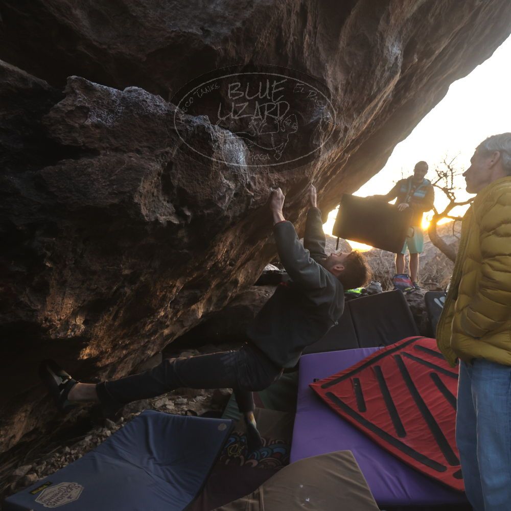 

Filename: SRM_20260118_1722200.jpg
Aperture: f/5.6
Shutter Speed: 1/400
Body: Canon EOS R6
Lens: Canon EF 16-35mm f/2.8 L