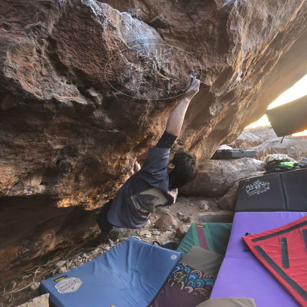 

Filename: SRM_20260118_1725050.jpg
Aperture: f/5.6
Shutter Speed: 1/400
Body: Canon EOS R6
Lens: Canon EF 16-35mm f/2.8 L