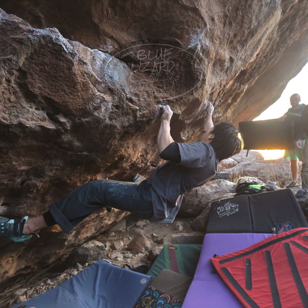 Filename: SRM_20260118_1725100.jpg
Aperture: f/5.6
Shutter Speed: 1/400
Body: Canon EOS R6
Lens: Canon EF 16-35mm f/2.8 L