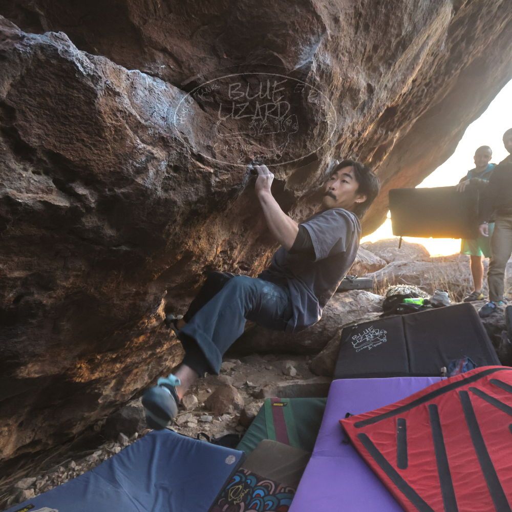 Filename: SRM_20260118_1725130.jpg
Aperture: f/5.6
Shutter Speed: 1/400
Body: Canon EOS R6
Lens: Canon EF 16-35mm f/2.8 L