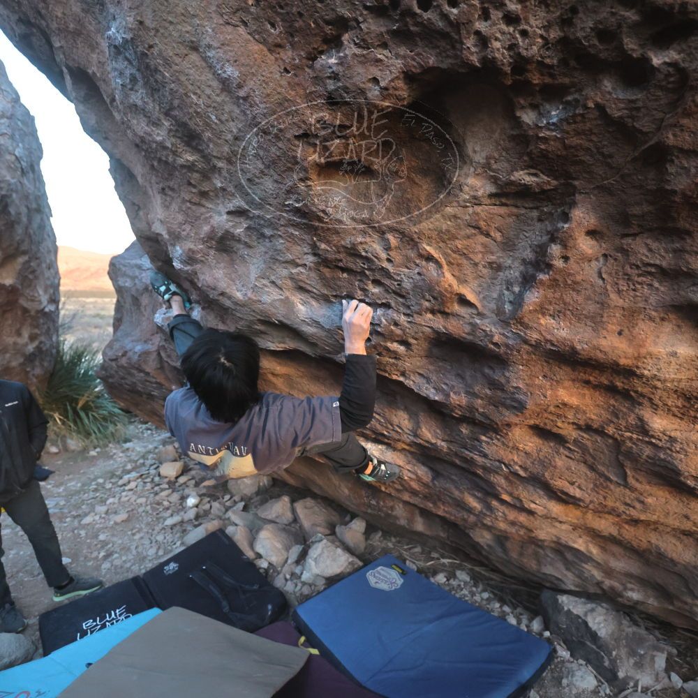 

Filename: SRM_20260118_1732440.jpg
Aperture: f/4.0
Shutter Speed: 1/320
Body: Canon EOS R6
Lens: Canon EF 16-35mm f/2.8 L