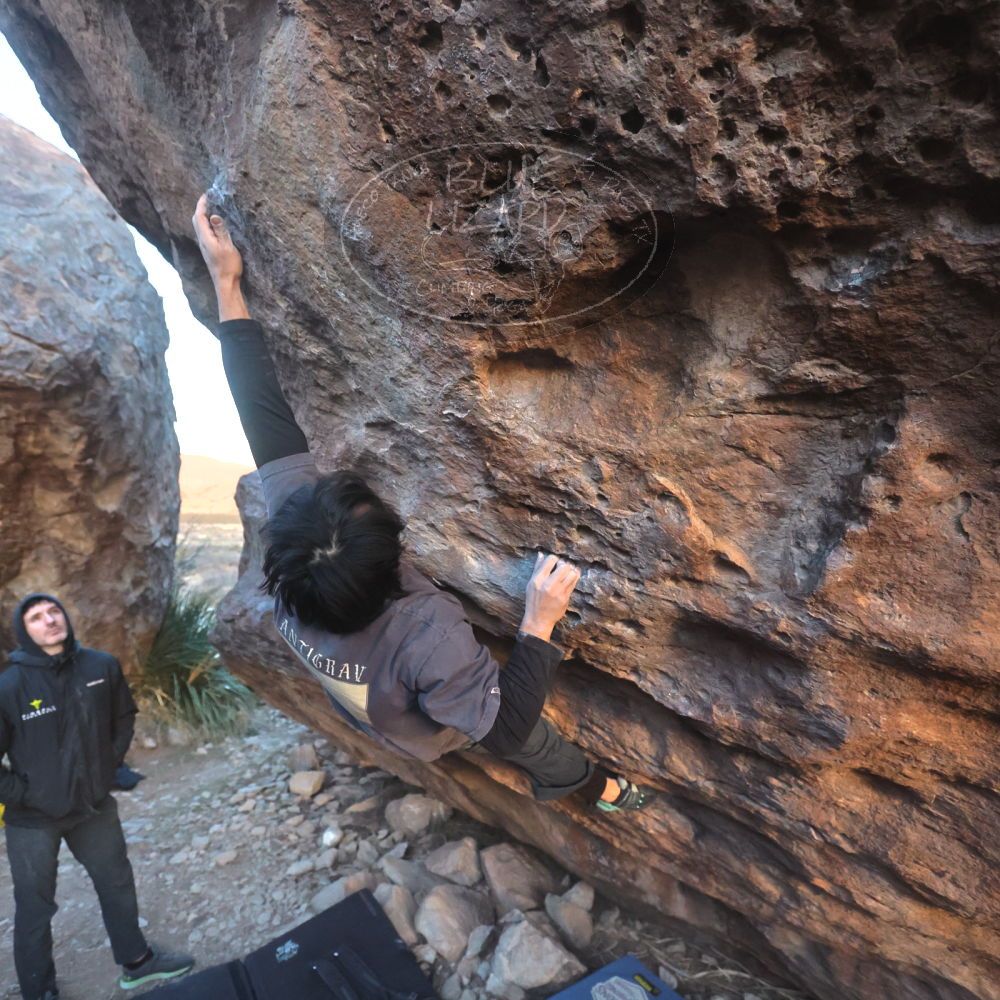 

Filename: SRM_20260118_1732470.jpg
Aperture: f/4.0
Shutter Speed: 1/320
Body: Canon EOS R6
Lens: Canon EF 16-35mm f/2.8 L