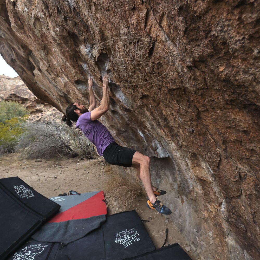 

Filename: SRM_20260207_1101350.jpg
Aperture: f/5.6
Shutter Speed: 1/800
Body: Canon EOS R6
Lens: Canon EF 16-35mm f/2.8 L