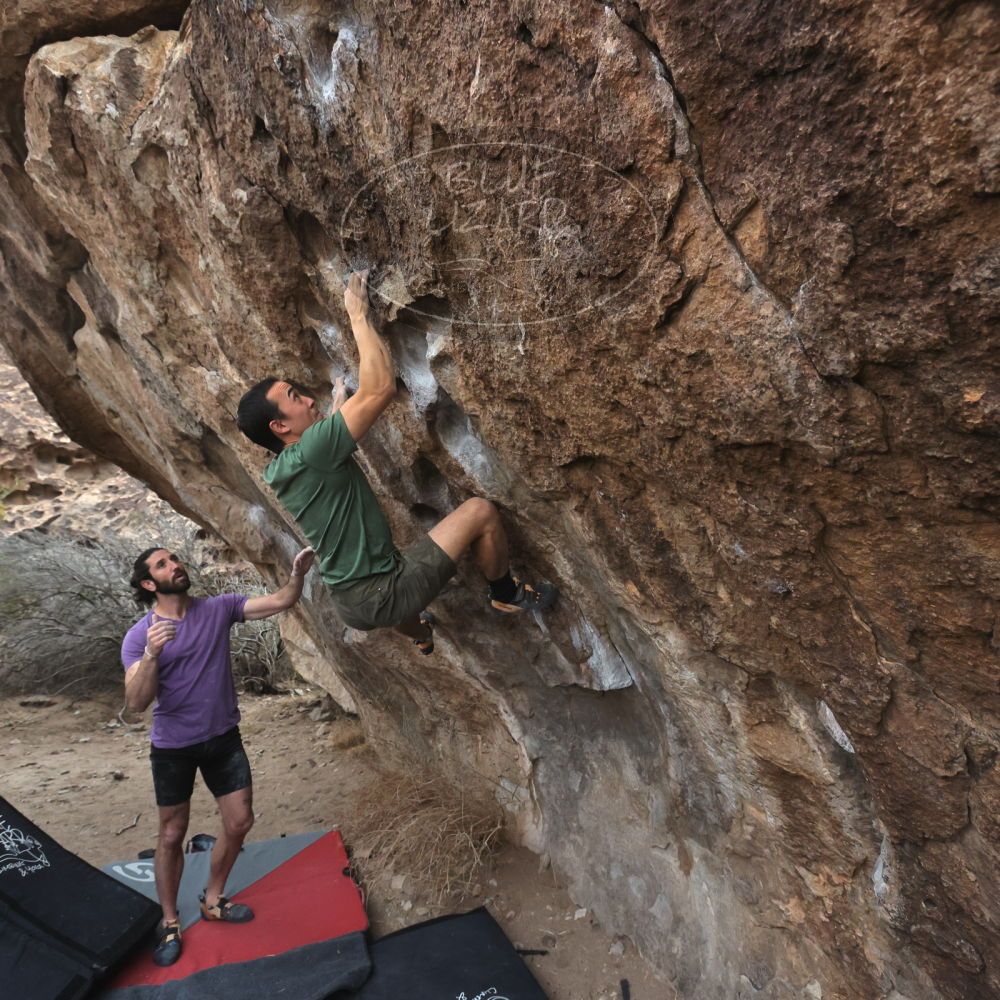 

Filename: SRM_20260207_1103140.jpg
Aperture: f/5.6
Shutter Speed: 1/800
Body: Canon EOS R6
Lens: Canon EF 16-35mm f/2.8 L