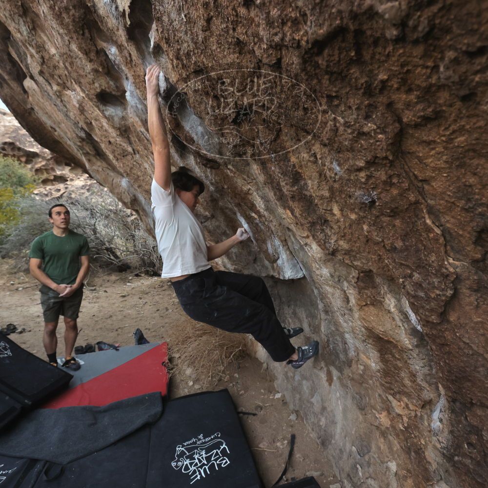 

Filename: SRM_20260207_1104170.jpg
Aperture: f/5.6
Shutter Speed: 1/800
Body: Canon EOS R6
Lens: Canon EF 16-35mm f/2.8 L