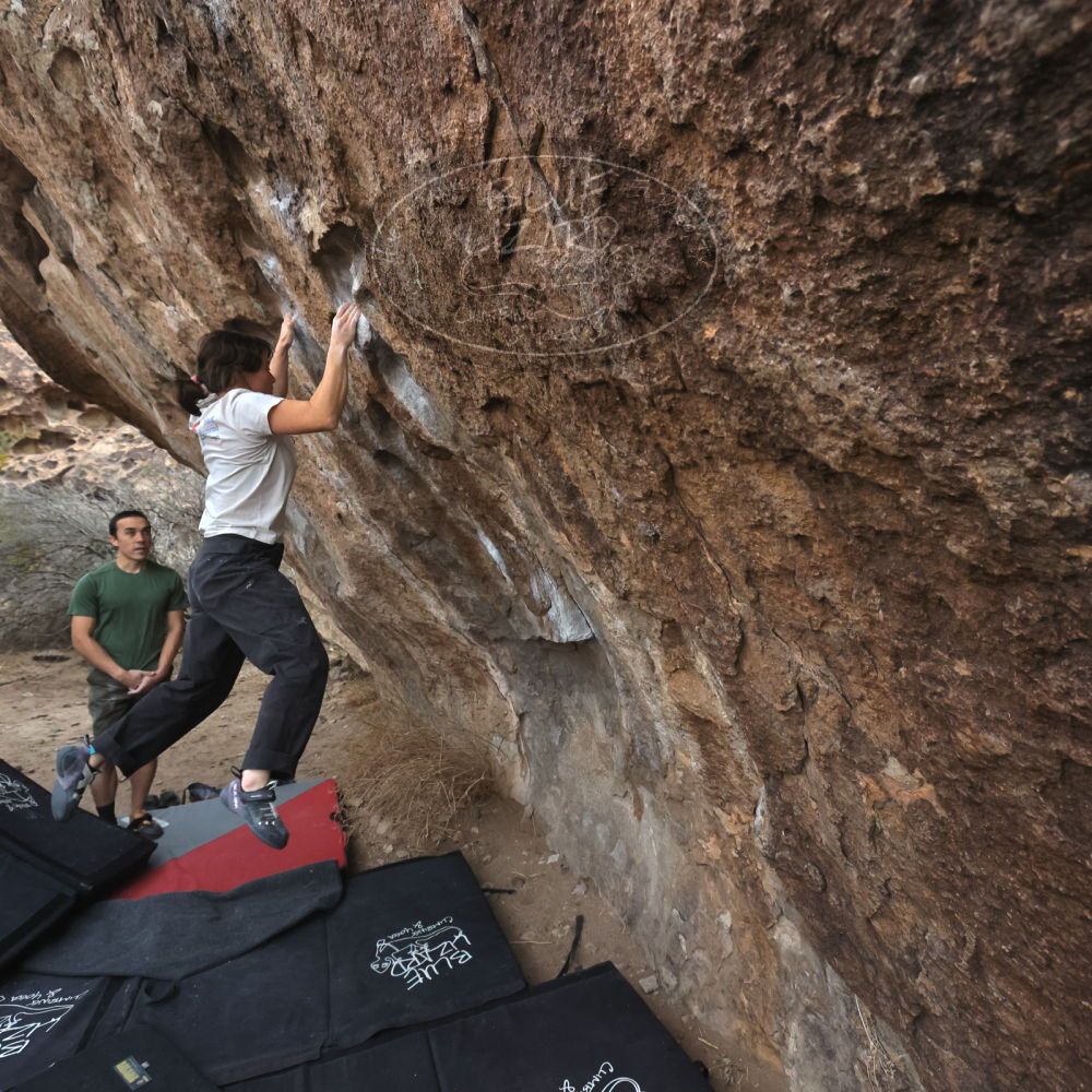 

Filename: SRM_20260207_1104211.jpg
Aperture: f/5.6
Shutter Speed: 1/800
Body: Canon EOS R6
Lens: Canon EF 16-35mm f/2.8 L