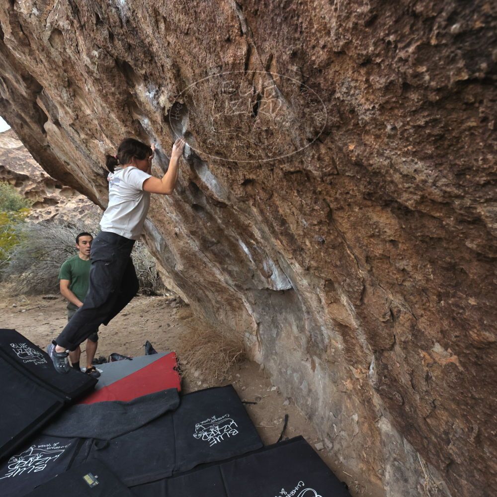 

Filename: SRM_20260207_1104220.jpg
Aperture: f/5.6
Shutter Speed: 1/800
Body: Canon EOS R6
Lens: Canon EF 16-35mm f/2.8 L