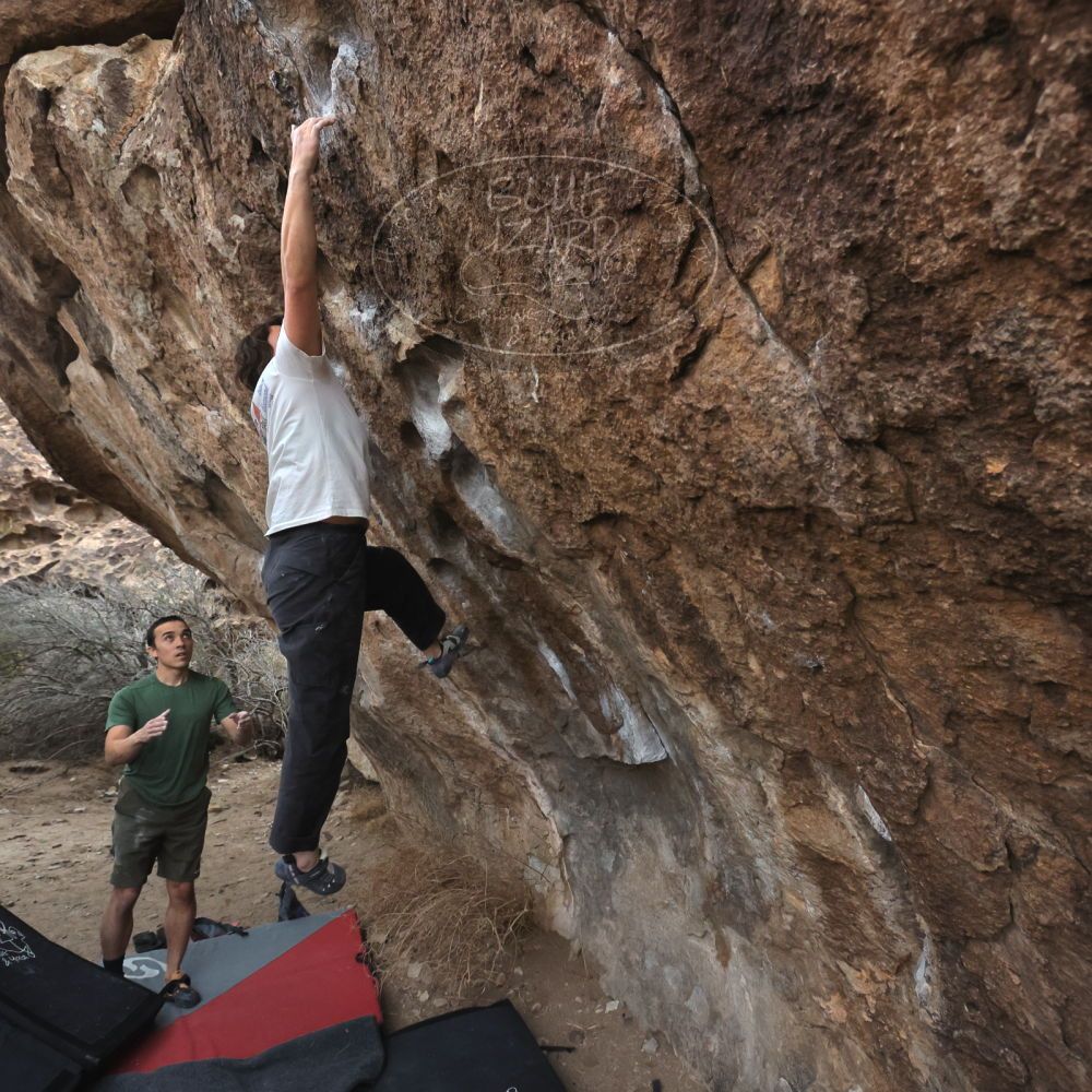 

Filename: SRM_20260207_1104310.jpg
Aperture: f/5.6
Shutter Speed: 1/800
Body: Canon EOS R6
Lens: Canon EF 16-35mm f/2.8 L