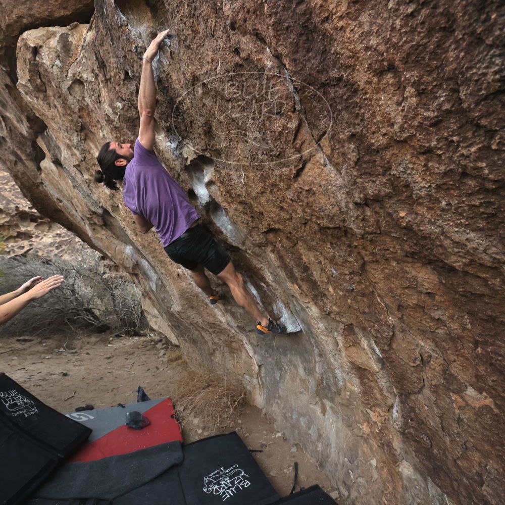 

Filename: SRM_20260207_1107190.jpg
Aperture: f/5.6
Shutter Speed: 1/800
Body: Canon EOS R6
Lens: Canon EF 16-35mm f/2.8 L