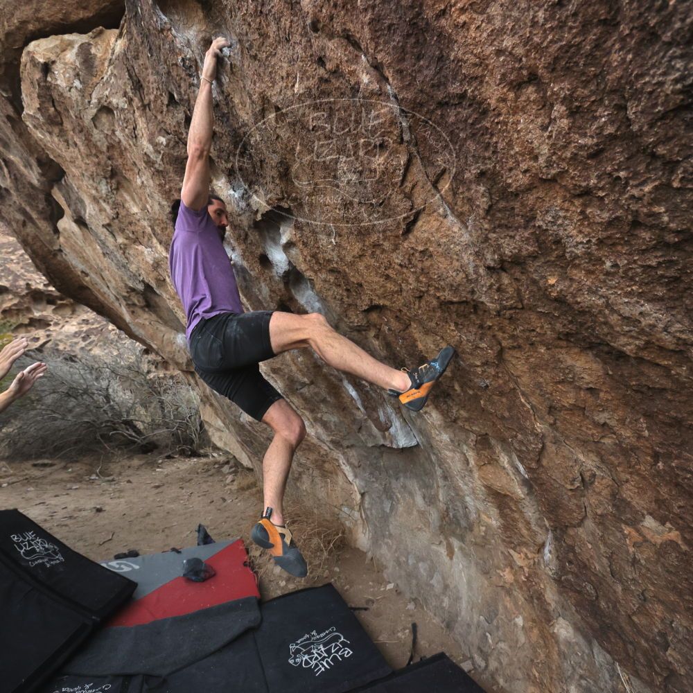 

Filename: SRM_20260207_1107210.jpg
Aperture: f/5.6
Shutter Speed: 1/800
Body: Canon EOS R6
Lens: Canon EF 16-35mm f/2.8 L