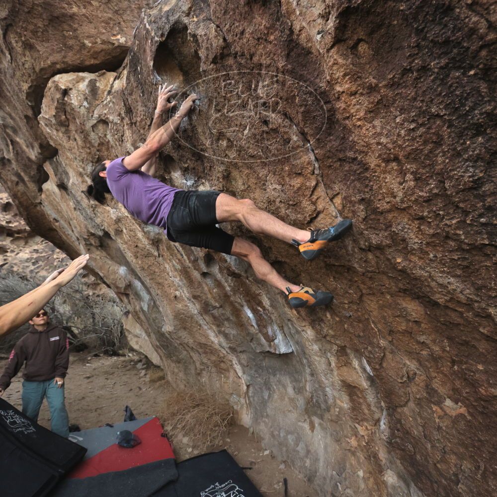 

Filename: SRM_20260207_1107370.jpg
Aperture: f/5.6
Shutter Speed: 1/800
Body: Canon EOS R6
Lens: Canon EF 16-35mm f/2.8 L