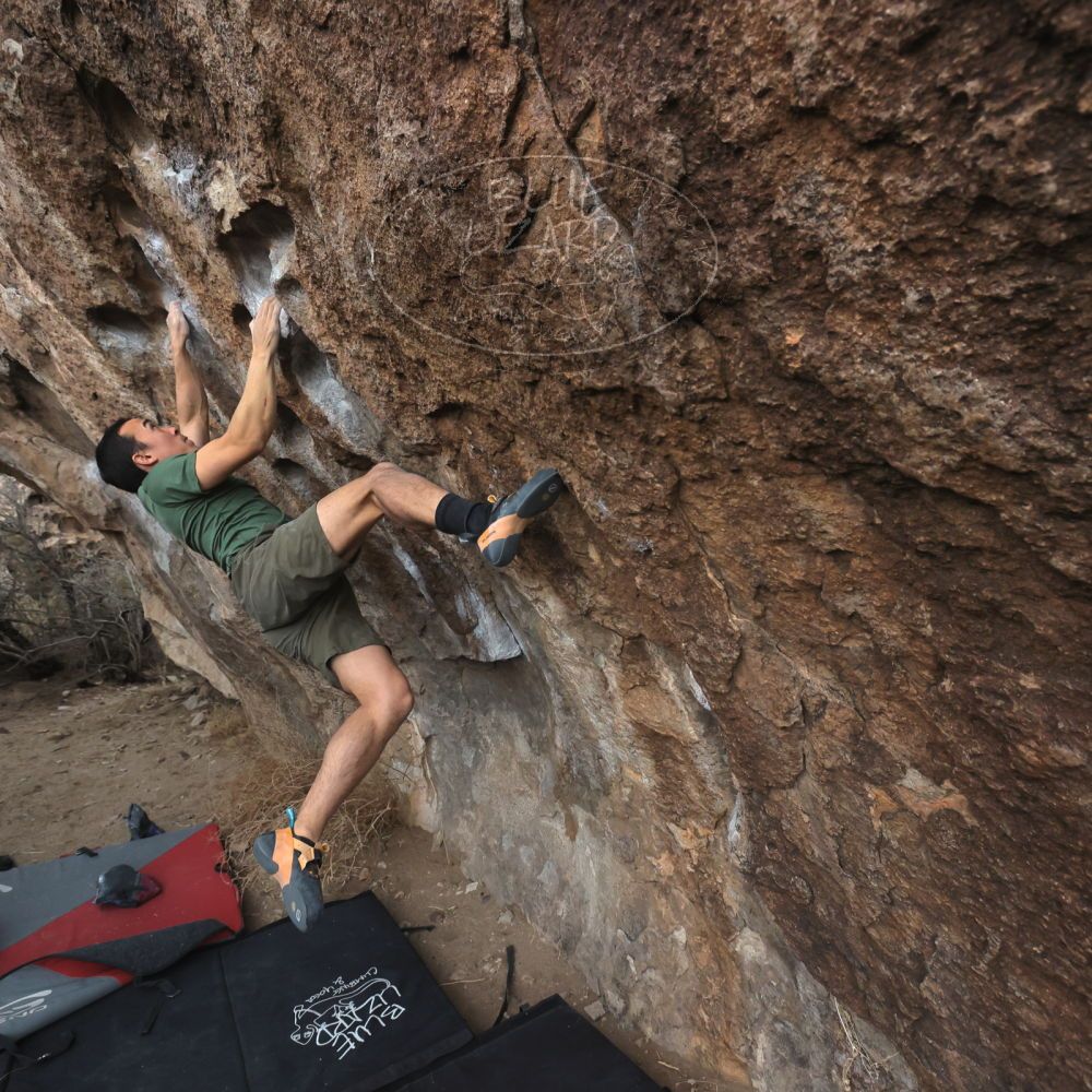 

Filename: SRM_20260207_1110110.jpg
Aperture: f/5.6
Shutter Speed: 1/800
Body: Canon EOS R6
Lens: Canon EF 16-35mm f/2.8 L