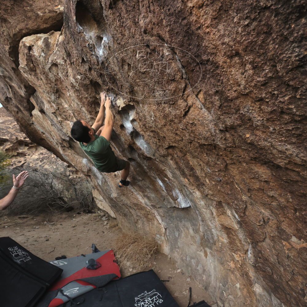 

Filename: SRM_20260207_1110230.jpg
Aperture: f/5.6
Shutter Speed: 1/800
Body: Canon EOS R6
Lens: Canon EF 16-35mm f/2.8 L