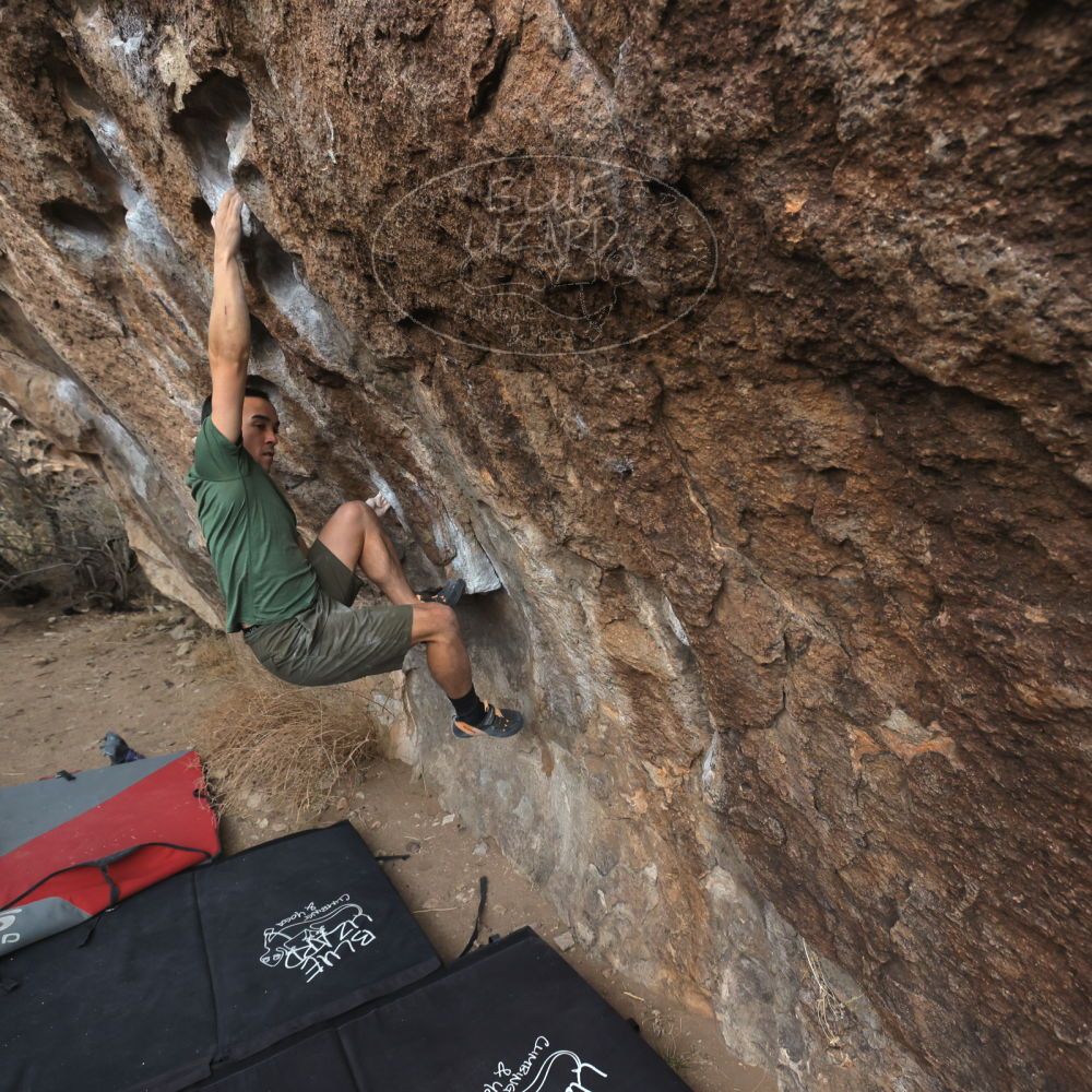 

Filename: SRM_20260207_1114510.jpg
Aperture: f/5.6
Shutter Speed: 1/800
Body: Canon EOS R6
Lens: Canon EF 16-35mm f/2.8 L