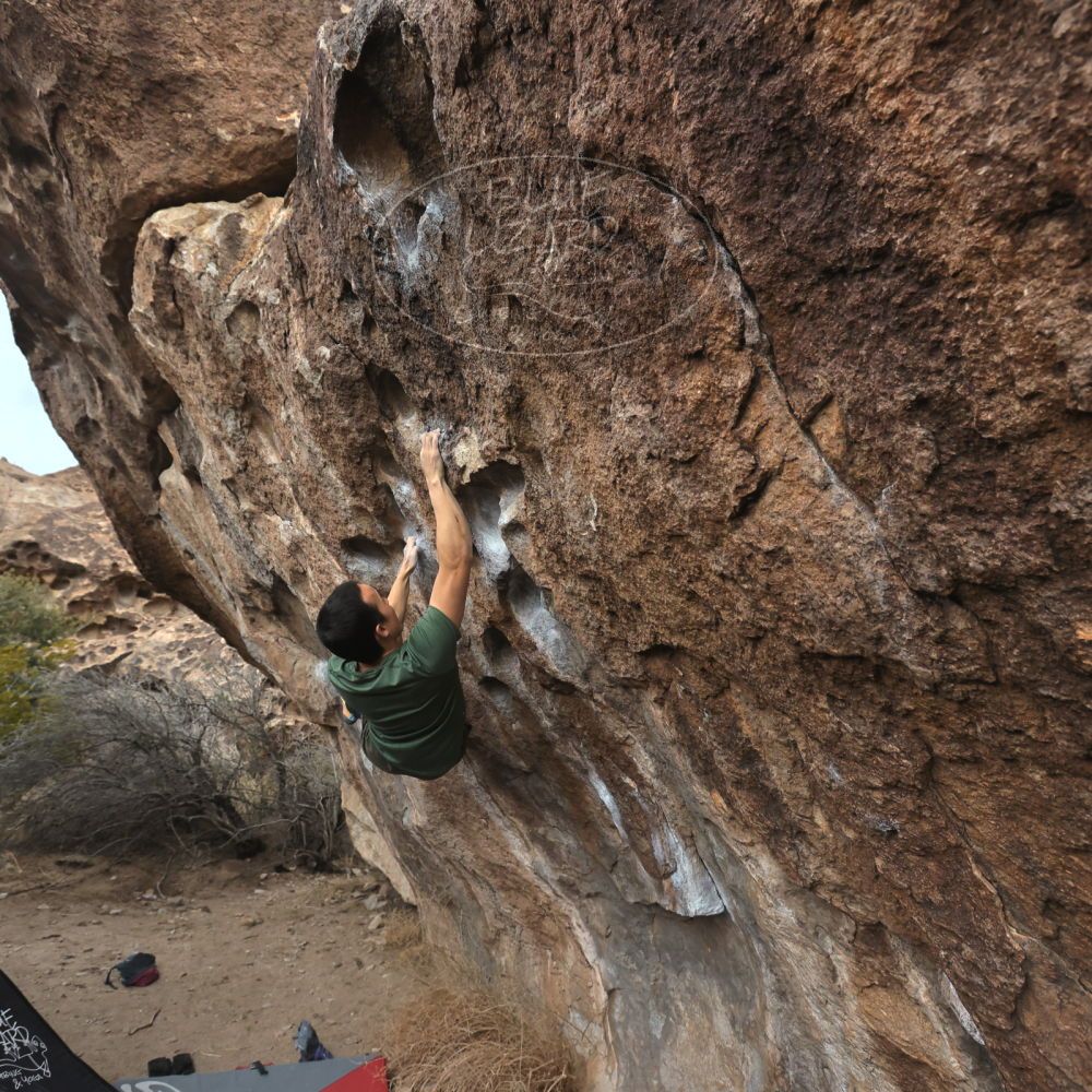 

Filename: SRM_20260207_1115060.jpg
Aperture: f/5.6
Shutter Speed: 1/800
Body: Canon EOS R6
Lens: Canon EF 16-35mm f/2.8 L