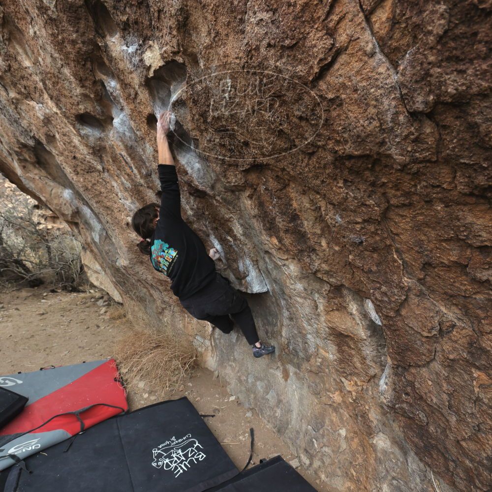 

Filename: SRM_20260207_1119470.jpg
Aperture: f/5.6
Shutter Speed: 1/800
Body: Canon EOS R6
Lens: Canon EF 16-35mm f/2.8 L