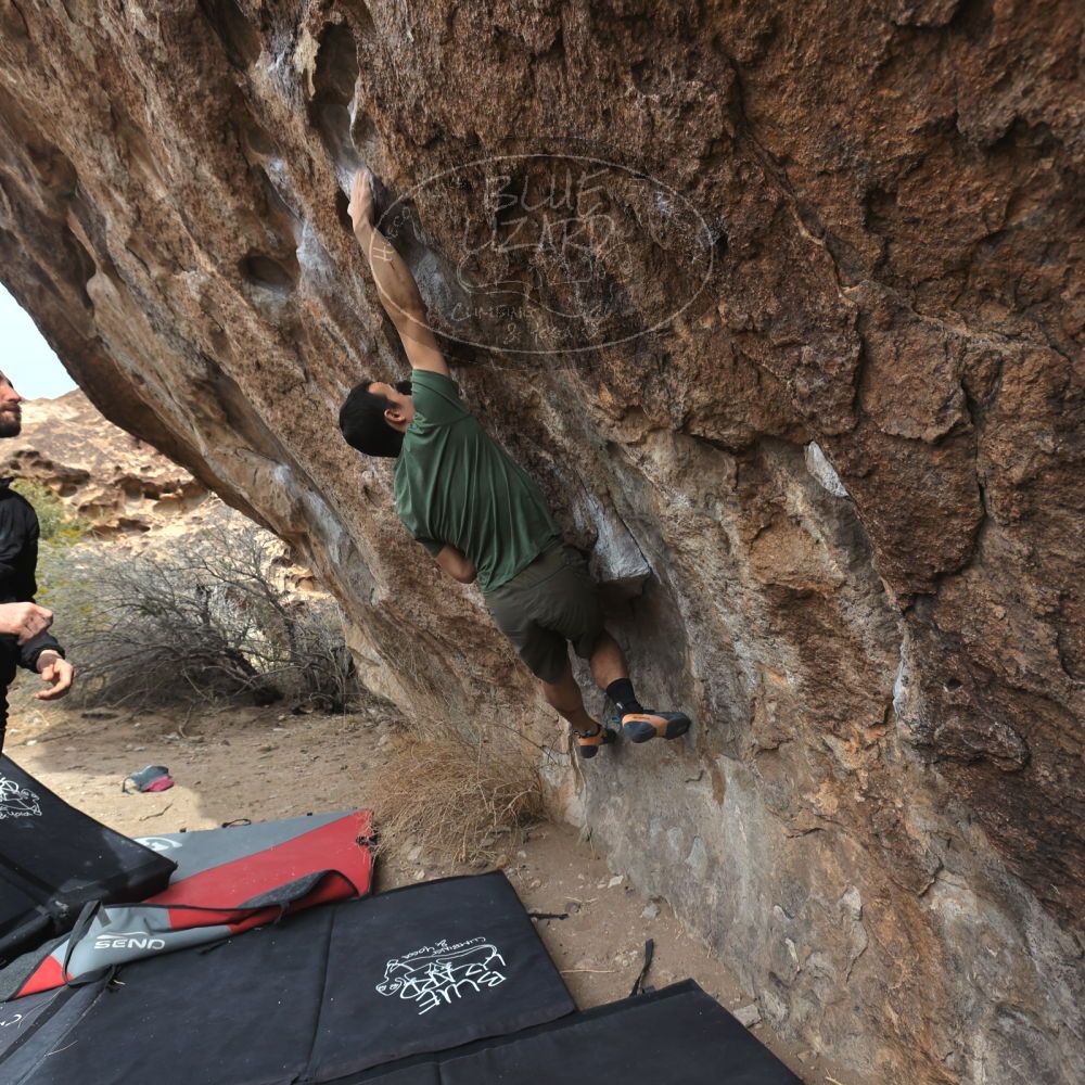 

Filename: SRM_20260207_1133320.jpg
Aperture: f/5.6
Shutter Speed: 1/800
Body: Canon EOS R6
Lens: Canon EF 16-35mm f/2.8 L