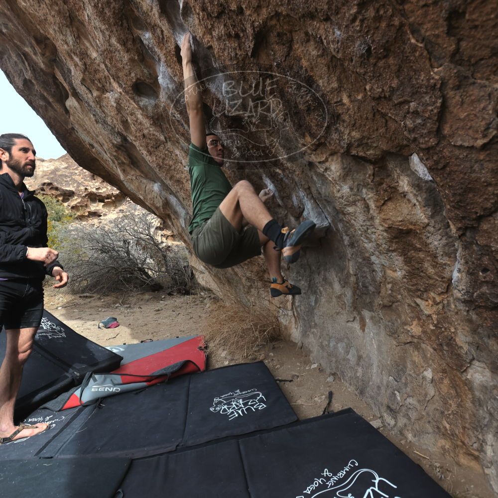 

Filename: SRM_20260207_1133340.jpg
Aperture: f/5.6
Shutter Speed: 1/800
Body: Canon EOS R6
Lens: Canon EF 16-35mm f/2.8 L