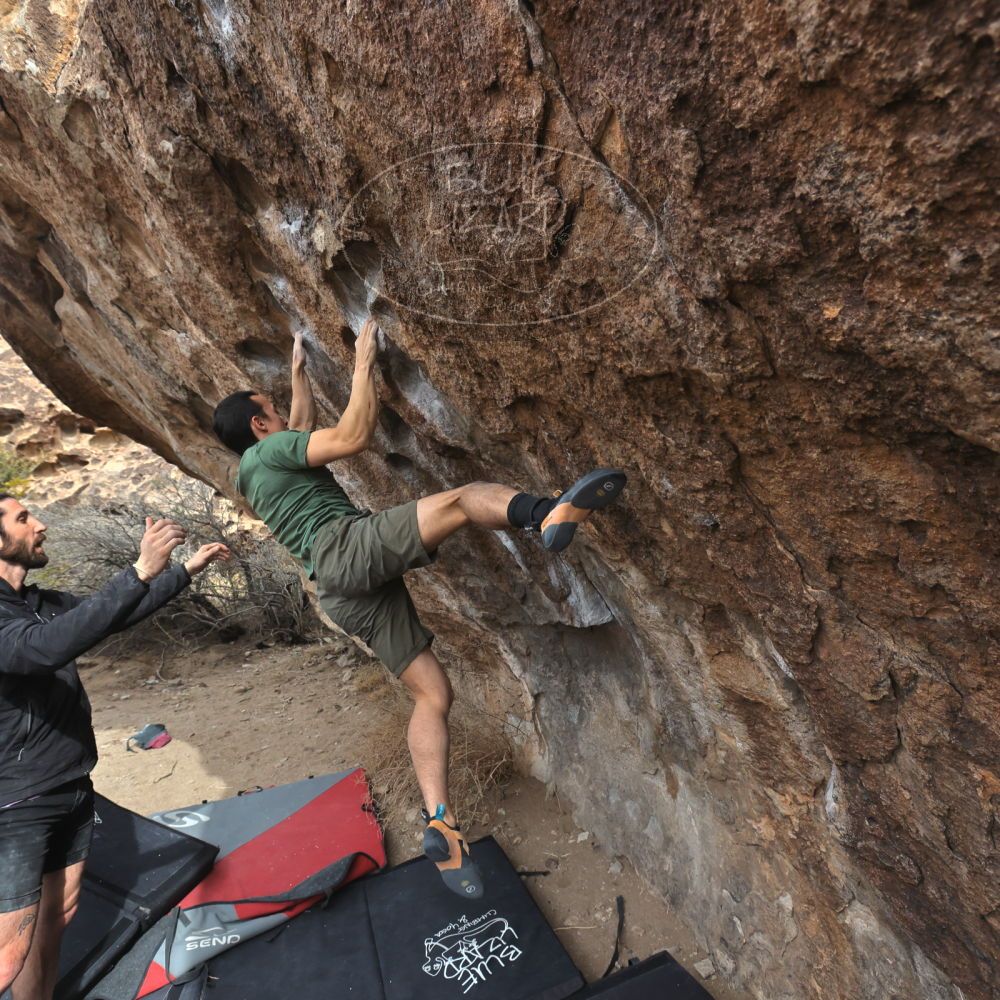 

Filename: SRM_20260207_1133390.jpg
Aperture: f/5.6
Shutter Speed: 1/800
Body: Canon EOS R6
Lens: Canon EF 16-35mm f/2.8 L