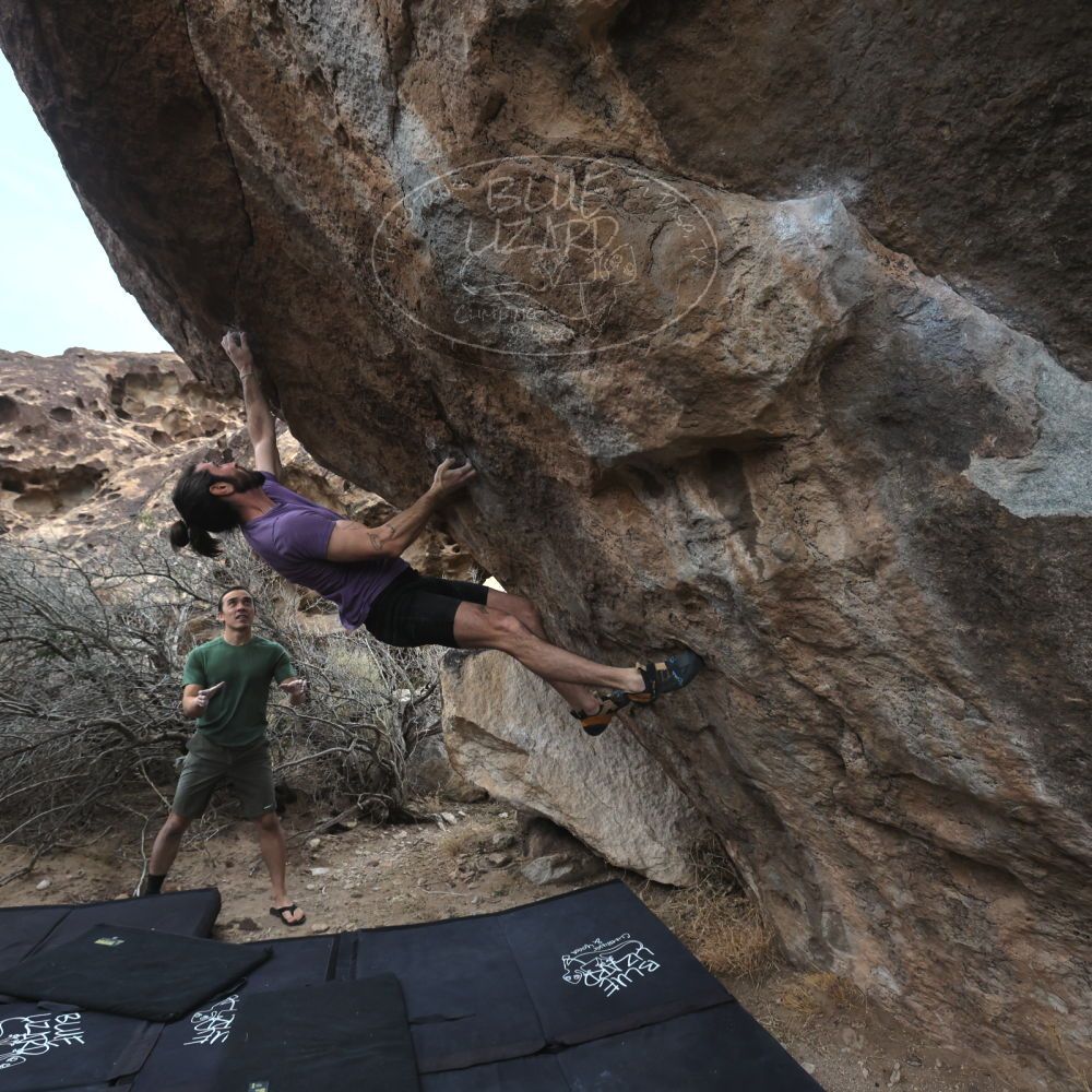 

Filename: SRM_20260207_1140211.jpg
Aperture: f/5.6
Shutter Speed: 1/800
Body: Canon EOS R6
Lens: Canon EF 16-35mm f/2.8 L