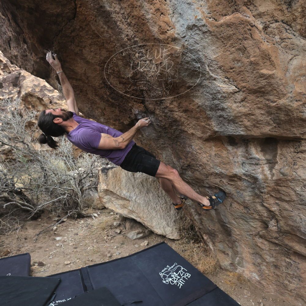 

Filename: SRM_20260207_1142590.jpg
Aperture: f/5.6
Shutter Speed: 1/800
Body: Canon EOS R6
Lens: Canon EF 16-35mm f/2.8 L