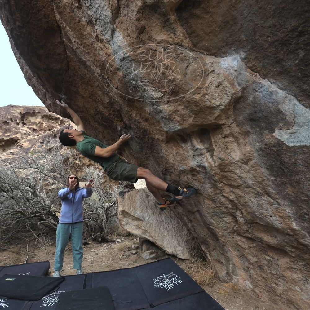 

Filename: SRM_20260207_1149320.jpg
Aperture: f/5.6
Shutter Speed: 1/800
Body: Canon EOS R6
Lens: Canon EF 16-35mm f/2.8 L